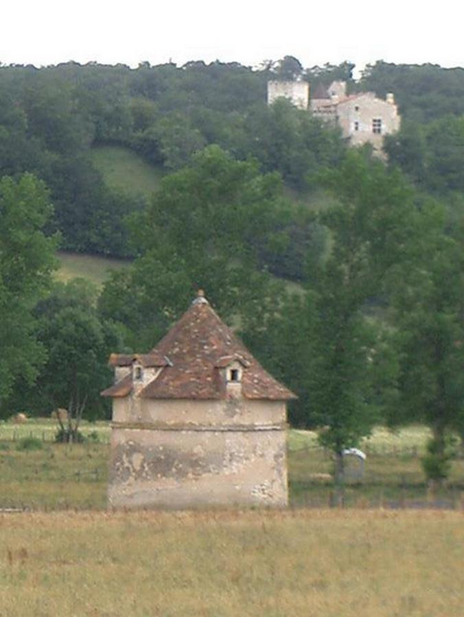 Hotel Le Relais Du Chateau Grignols  Экстерьер фото