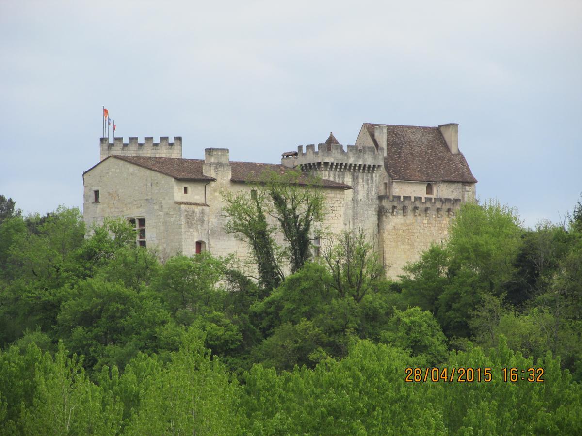 Hotel Le Relais Du Chateau Grignols  Экстерьер фото